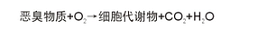 生物脫臭廢氣處理工藝